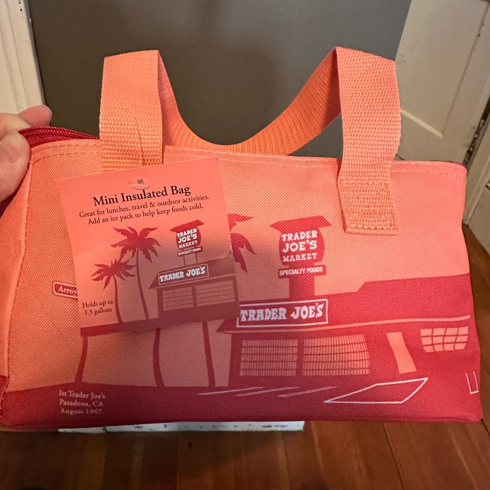 Trader Joe’s mini  Insulated tote